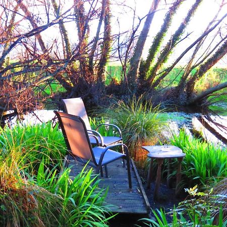 Shady Rest Bed & Breakfast ทาคาคา ภายนอก รูปภาพ